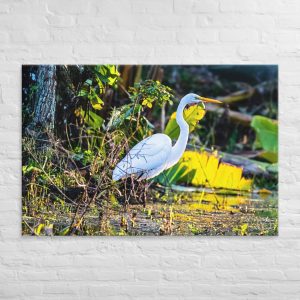 A stunning white heron standing in a lush wetland environment with green foliage and water lilies.